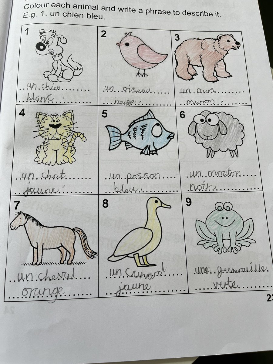 Amazing work on animals in French in y3! <a href="/CastleNewnham/">Castle Newnham</a> <a href="/MissHBaxter/">Hannah</a>