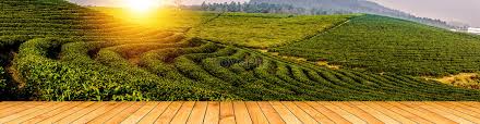 Komal25169281's tweet photo. @Rahul51111 https://t.co/6XZWaTCcx7