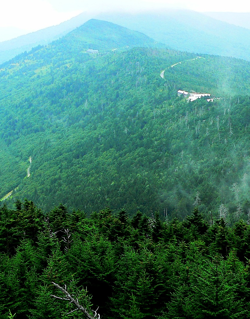 Tina Koskima 🕊️ on Twitter "Mt Mitchell is the highest peak near