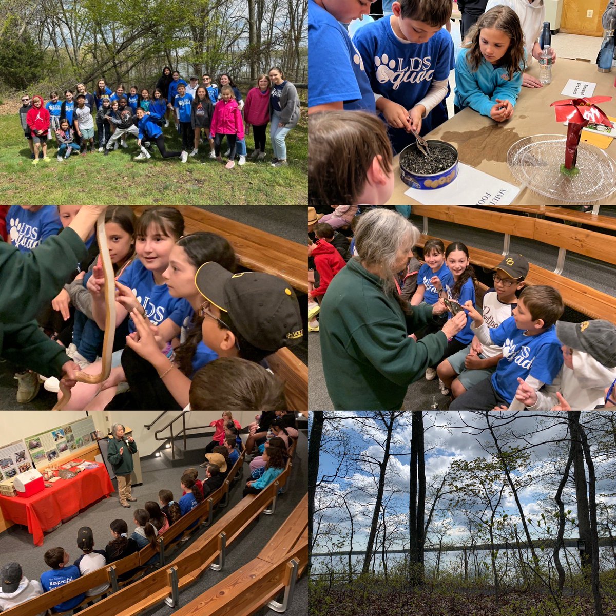 Jodi Murphy tweet media