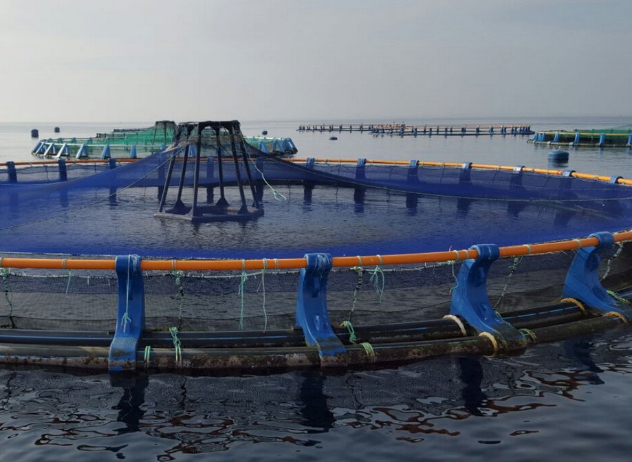 València acogerá en 2025 Aquaculture Europe, el mayor congreso europeo de #acuicultura  ow.ly/s5Ms50NTvl6 
Estará organizado por el <a href="/CSIC/">CSIC</a> y se celebrará del 22 al 25 de septiembre #AE2025 <a href="/CSICval/">Casa de la Ciència CSIC València</a> <a href="/IATS_Nutrigroup/">IATS-CSIC Nutrigroup</a> <a href="/easaqua/">European Aquaculture Society (EAS)</a>