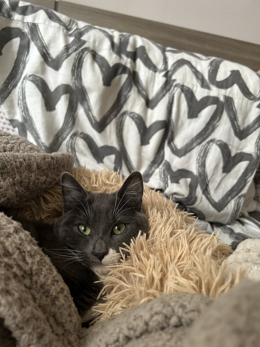 aureliegvs's tweet image. Juste parce que je suis fan de ma fille🤍