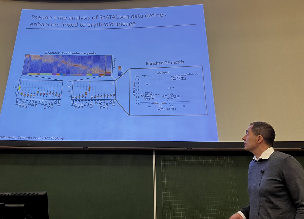 tunepers's tweet photo. Systematically mapping enhancers in hematopoietic stem and progenitor cells👍

Göran Karlsson @GKarlssonLab Lund University @lunduniversity @Lund_Stem #singlecellCPH23

https://t.co/zc2dP5vWl9 https://t.co/2cddRAK1bd