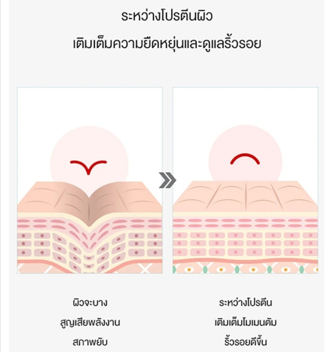 MakeupSogood's tweet photo. แอมพูลเกรดคลีนิค เข้มข้น ให้ผิวแน่นตึง กระชับ
รูขุมขนเล็กลง
Medi-Peel Pepti-Tox Ampoule 35ml.(Firming &amp; Anti-Wrinkle) แอมพูล ที่เป็นยิ่งกว่าเซรั่ม เข้มข้นกว่า ตรงจุดกว่า สูตรผิวเฟิร์ม ลดริ้วรอย

#Medipeel​ #medipeelpeptitox https://t.co/9XXnVMbJRJ