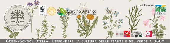 Green School - Botanica 1 | Le piante a fiore gboropa.it/Educazione/Gre…  #biodiversity #botany <a href="/ParcoTicinoPiem/">ParcoTicinoPiemonte</a> #oropa #WWF