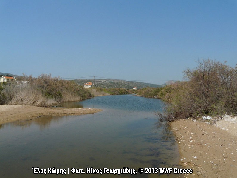 ekby_greece's tweet photo. Μία σημαντική απόφαση του Συμβουλίου της Επικρατείας επιβεβαιώνει το νομικό κύρος, αποσαφηνίζει τις ρυθμίσεις και ενδυναμώνει την εφαρμογή στην πράξη του διατάγματος για την προστασία των μικρών νησιωτικών υγροτόπων. https://t.co/XoYXGmC2zm @ekby_greece @WWFGreece @YpenGr https://t.co/XEE3zOt0Q3