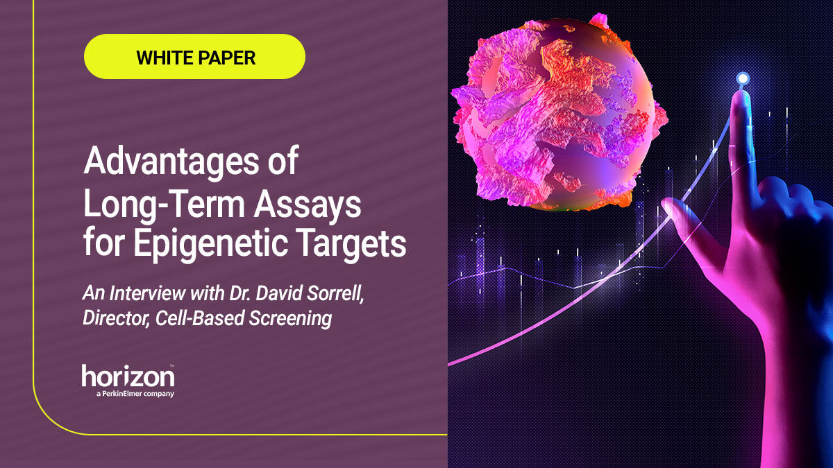 HZDiscovery's tweet photo. With the launch of our #OncoSignature™  Long-Term Assay, we conducted an interview with our expert, Dr. David Sorrell, to dive into the details of this service and its significance for your research. Read the white paper here: 

https://t.co/Ta5lPrc1Mh 

#CellPanelScreening https://t.co/N1v7L1Tx7p