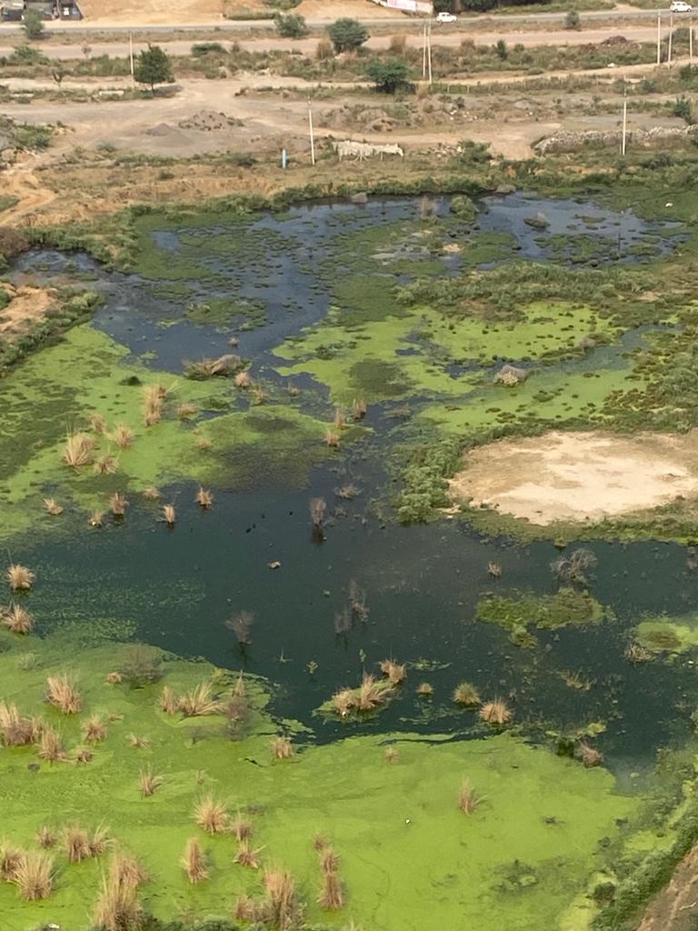 Rampant disbursal of STP water happening in Sector 84 Gurgaon. Raised the issue with <a href="/MCManesar/">Municipal Corporation Manesar</a> <a href="/OfficialGMDA/">GMDA</a> but no solution. Dear <a href="/cmohry/">CMO Haryana</a> please help over 3000 residents living in the vicinity.