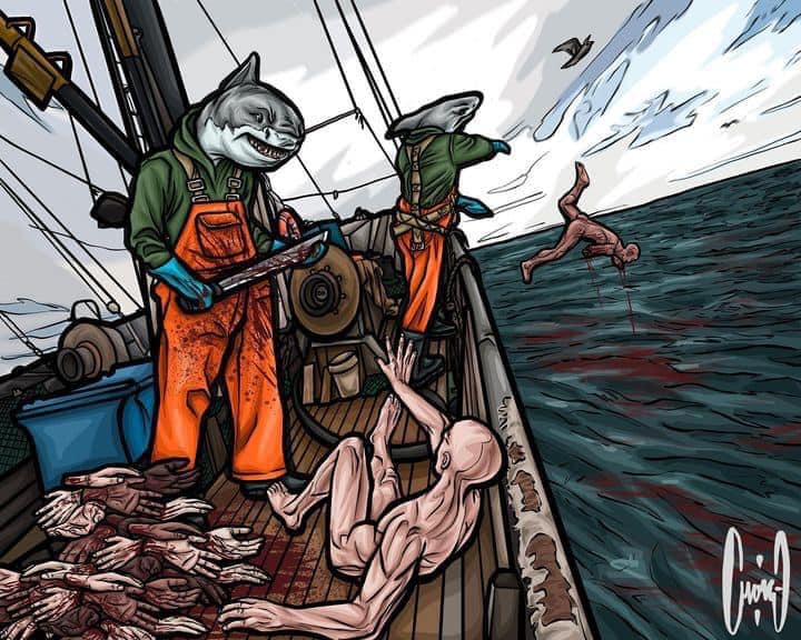 ambienteeuropeo's tweet photo. Si cambiamos los papeles...
🎨Ilustración de @ChoiceArt FB
#stopfinning https://t.co/DHjo4hrL8u