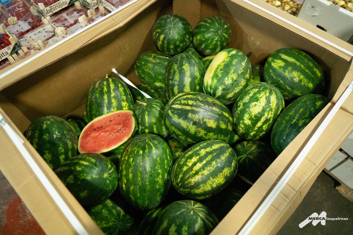mercalaspalmas's tweet photo. Contra el dolor muscular, ¡𝘇𝘂𝗺𝗼 𝗱𝗲 𝘀𝗮𝗻𝗱𝗶́𝗮! 🍉

🤔 ¿Sabías que esta fruta posee un alto contenido de potasio y vitamina B6 que ayudan a prevenir calambres y agujetas? 

Tómatelo antes de tu entrenamiento y benefíciate de sus cualidades reparadoras 💪🏼.

#Mercalaspalmas https://t.co/44Uva9IyCM