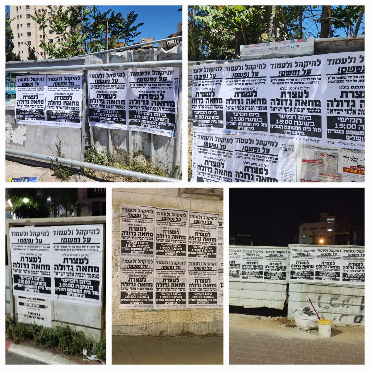 ברל'ה קרומבי | Berale Crombie tweet media