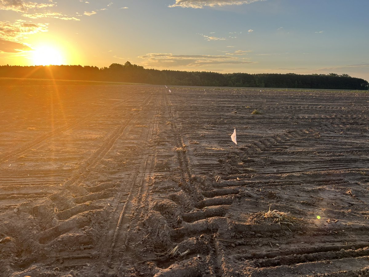 Flagging my first ever corn test plots!!! #plant23