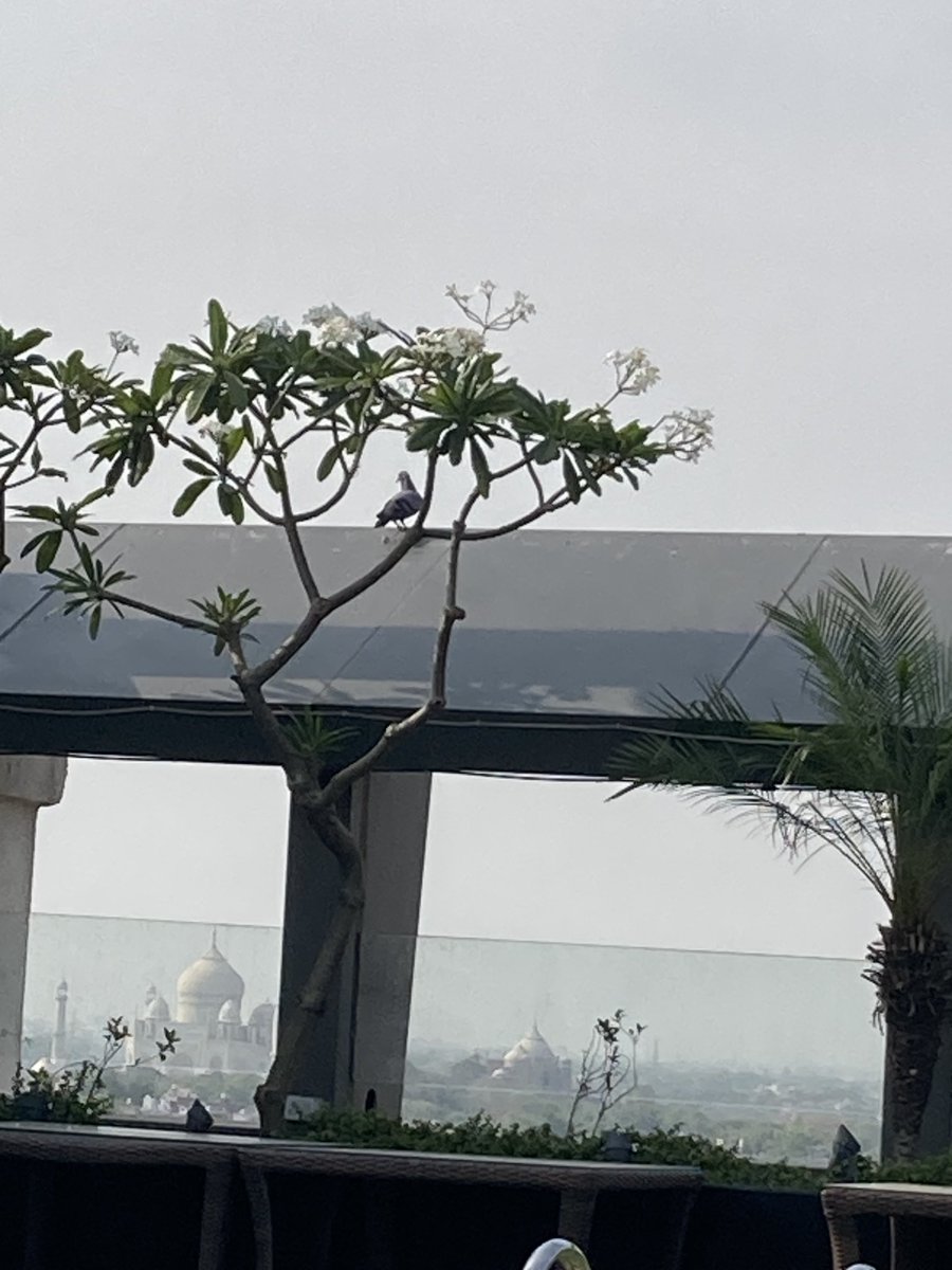 Ol mates a bit far from home ⁦<a href="/nzmrichards/">Michael Richards</a>⁩