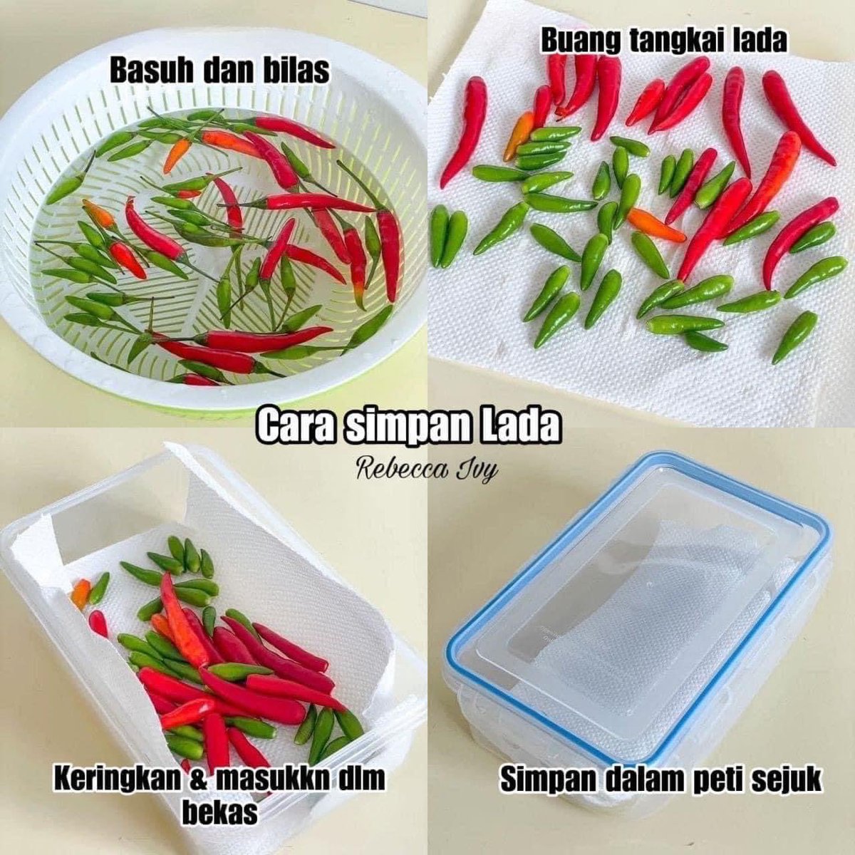 MalayFoodHunter's tweet photo. Cara penyimpanan sayur dengan cara mudah! ❤️ 

Kalau nak sayur tahan lebih tahan lama dalam peti sejuk, korang boleh ikut cara macam ni! 

Tips ni sangat berguna tau! 

Pakat share ramai2 https://t.co/kjYmL3FCdQ