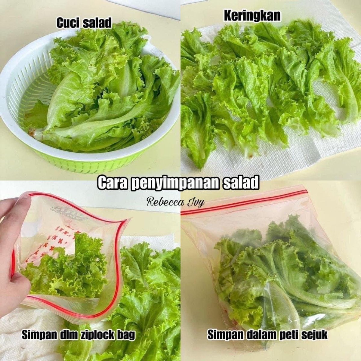 MalayFoodHunter's tweet photo. Cara penyimpanan sayur dengan cara mudah! ❤️ 

Kalau nak sayur tahan lebih tahan lama dalam peti sejuk, korang boleh ikut cara macam ni! 

Tips ni sangat berguna tau! 

Pakat share ramai2 https://t.co/kjYmL3FCdQ