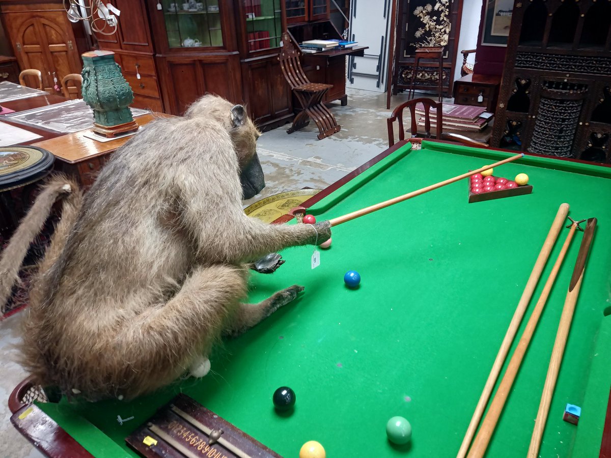 This cheeky monkey was pushing his luck at snooker. But, he sold at auction today for  £600 @ReemanDansie #auction #Collectibles #Curiosity #essex #baboons