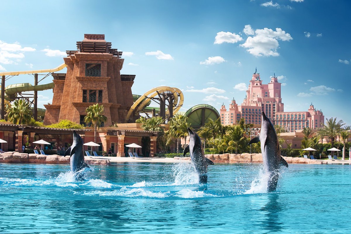 TheGuruLink's tweet photo. Habibi - come to Dubai🇦🇪! The adventure awaiting at Atlantis The Palm is just one email away. The 5-star accomodation boasting an impressive waterpark and underwater suite is one of its hottest tourest attractions. Email us at travel@thegurulink.co.za and lets get you to Dubai🌊 https://t.co/xRA9Puvb8Y