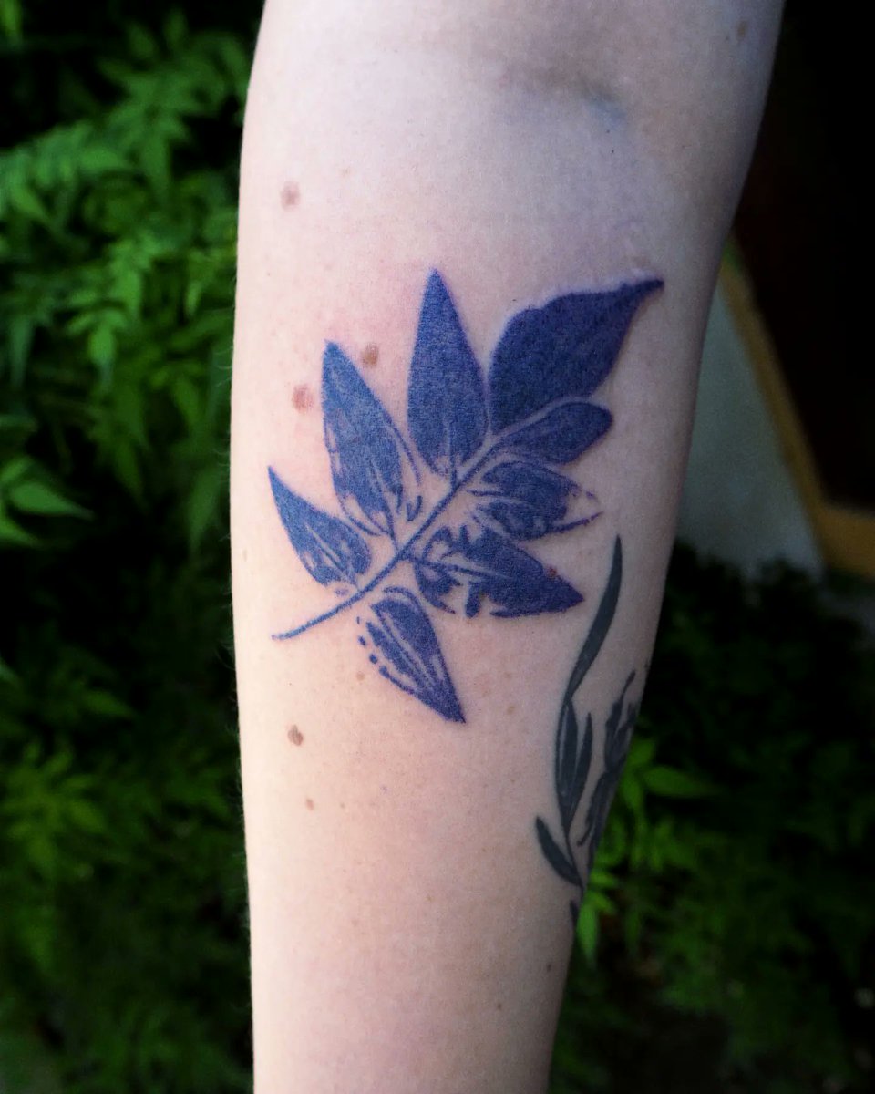 laurianemockel's tweet photo. PROJET EMPREINTES

Je veux reprendre plus sérieusement ce concept où je tattoue des empreintes de plantes que vous m'apportez!

Pour prendre rendez-vous ça se passe par mail à euliopse.tattoo@gmail.com

N'hésitez pas à partager avec un petit RT ça me ferait très plaisir ☀️ https://t.co/R75uJN79vl