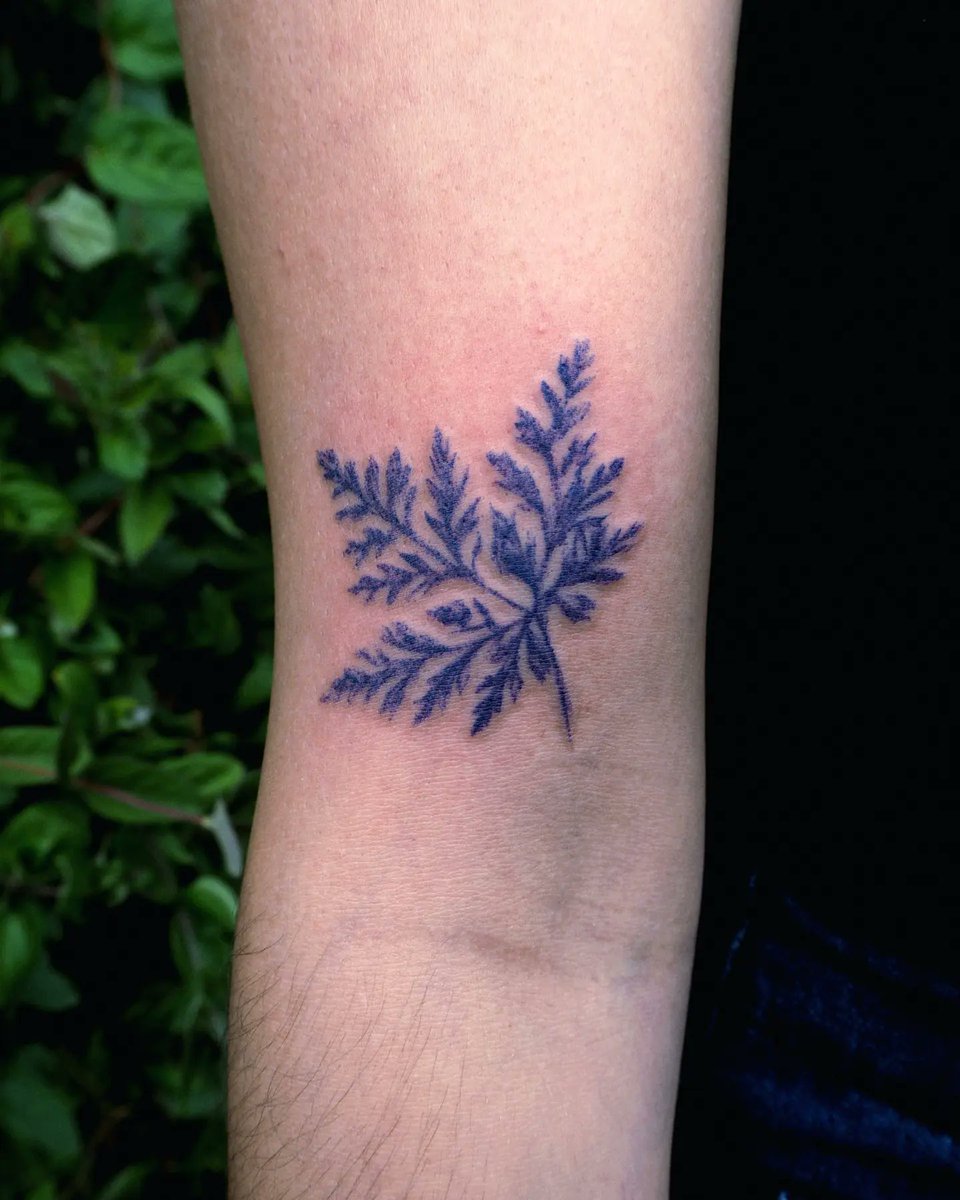 laurianemockel's tweet photo. PROJET EMPREINTES

Je veux reprendre plus sérieusement ce concept où je tattoue des empreintes de plantes que vous m'apportez!

Pour prendre rendez-vous ça se passe par mail à euliopse.tattoo@gmail.com

N'hésitez pas à partager avec un petit RT ça me ferait très plaisir ☀️ https://t.co/R75uJN79vl