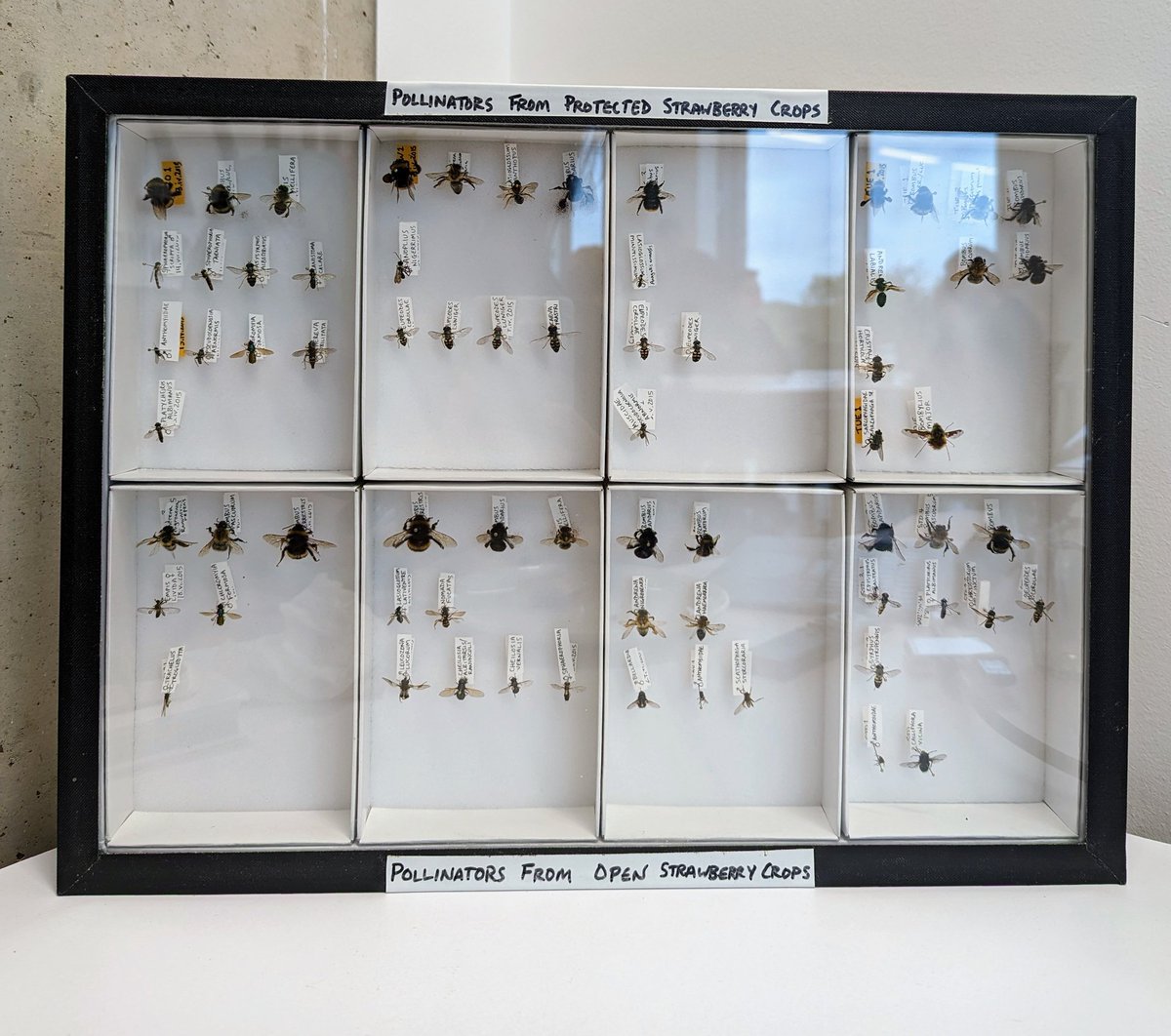 Christina Richardson tweet media