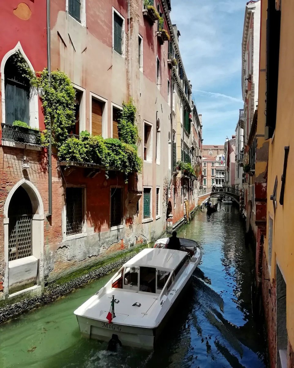 🇮🇹 Venice, Italy

🚤 Venice webcams:
🔗 webcamera24.com/countries/ital…

#webcamera24 #venècia #venecia🇮🇹 #veneziagram #veneziagram #veniceitaly #venecialovers #venicecanals #venicephotographer #venicephotos #venicephotoshooting #venicephoto #venicephotography #venicephotolab