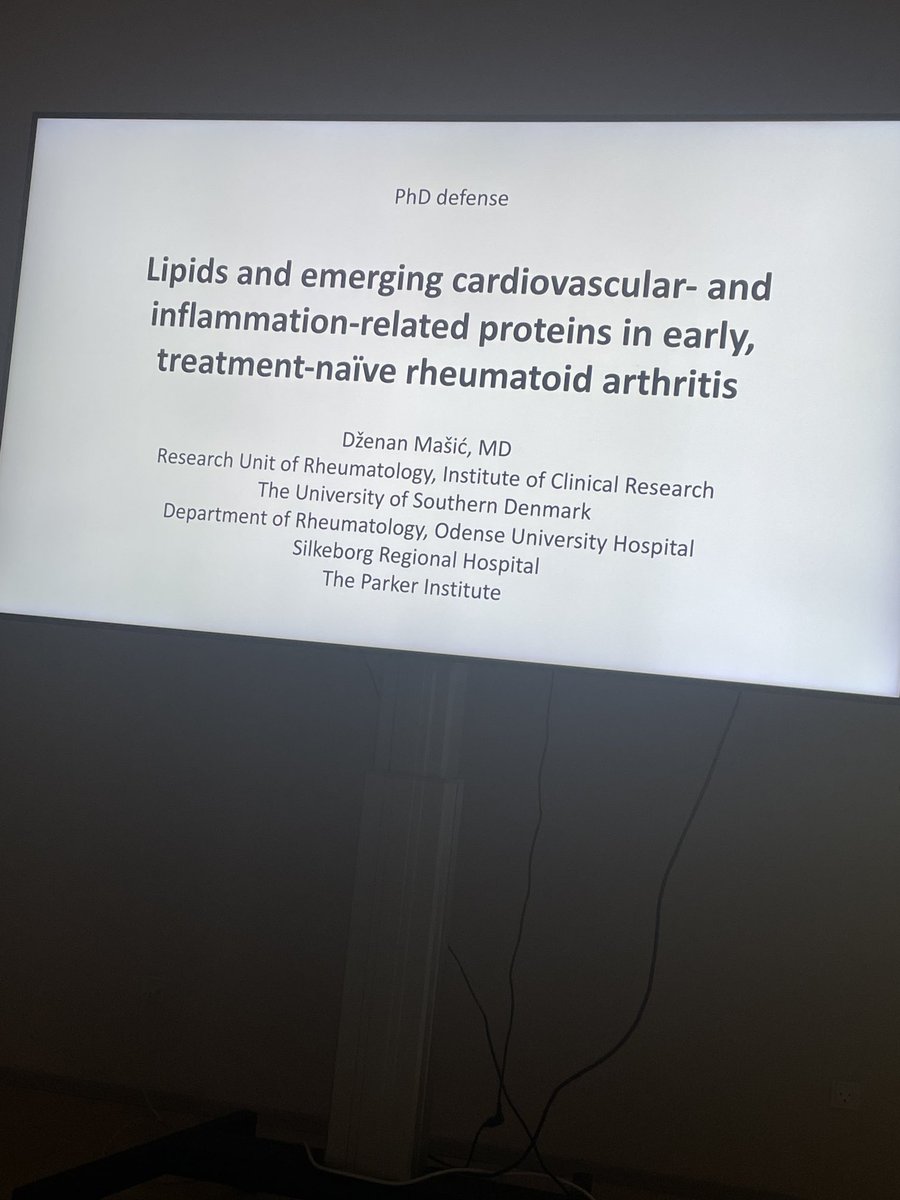 A proud day in Odense (PhD defence: Dzenan Masic)