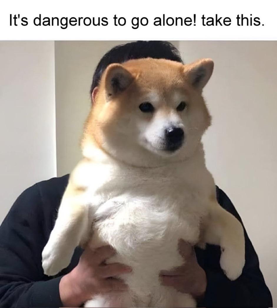 WholesomeMemes (@wholesomememe) on Twitter photo 