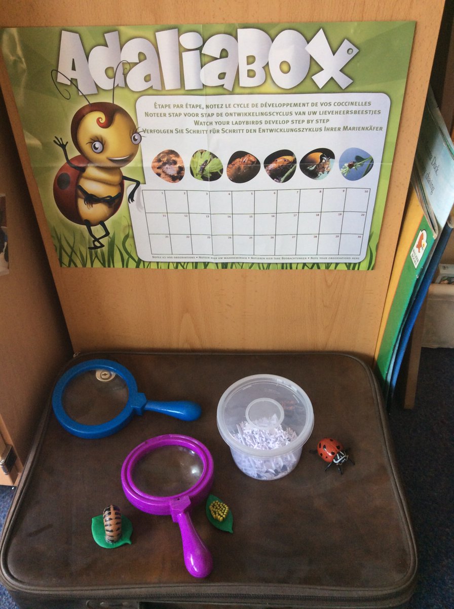 GarswoodNursery tweet media
