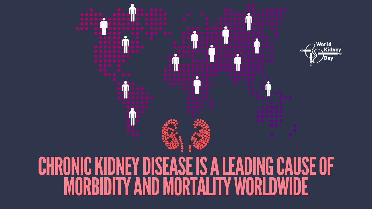 An estimated 850 million people worldwide suffer from chronic kidney disease, and it is expected to become the fifth leading cause of death globally by 2040. Read more about the burden of CKD worldwide here: theisn.org/initiatives/gl… #WorldKidneDay #KidneyDisease #GlobalIssue