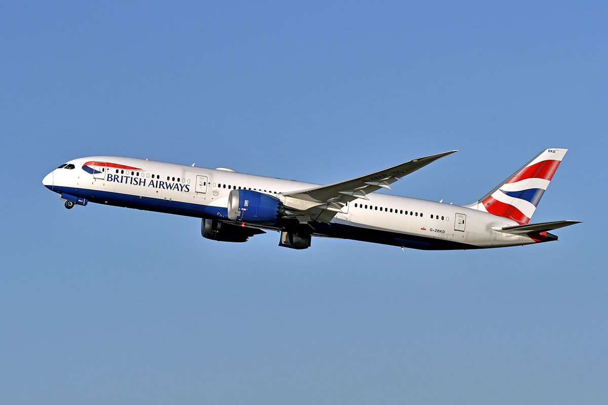 Richard48535122's tweet photo. @berniehollywood 👏👏👏👏👏👏👏👏👏
I bet you will fly on #Bearforce1

@jumpjim 
@British_Airways 

That will be a trip to join!
#bearforce https://t.co/pTK68zmFfv