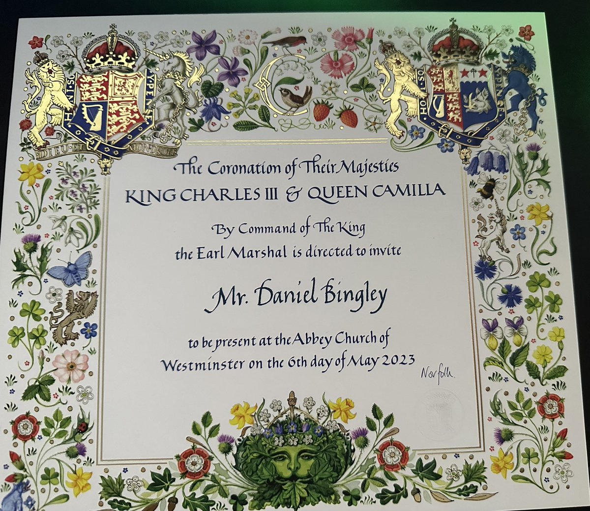 Daniel Bingley tweet media