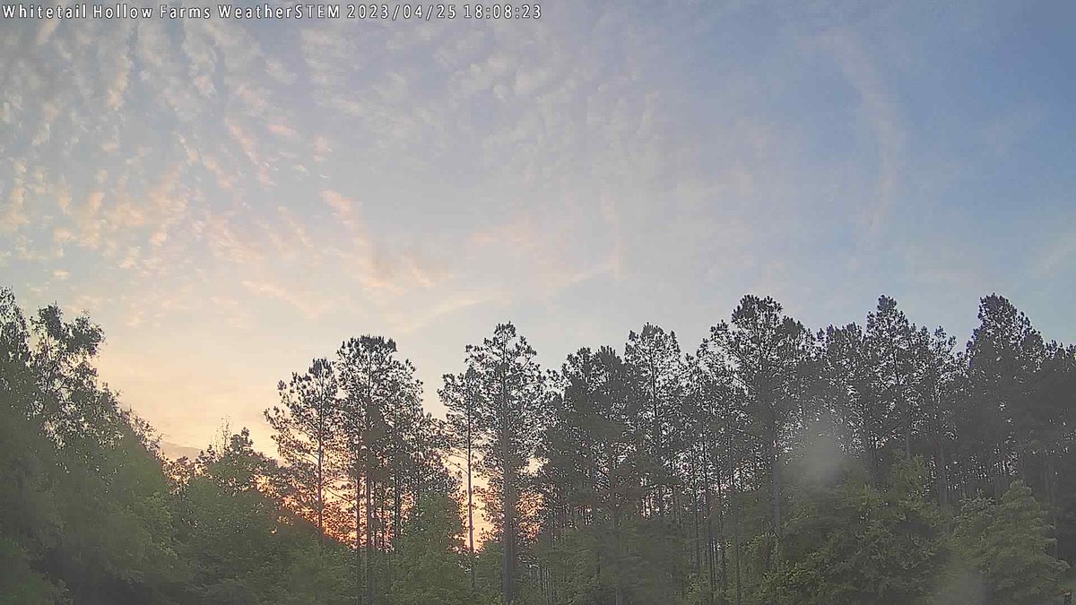WHFWxSTEM's tweet photo. Whitetail Hollow Farms at sunrise and it's 61.3 F. https://t.co/wC2S4y21Ld