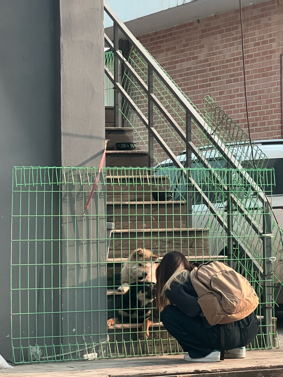 saeromfiles's tweet photo. https://t.co/9cXRgo2mAW