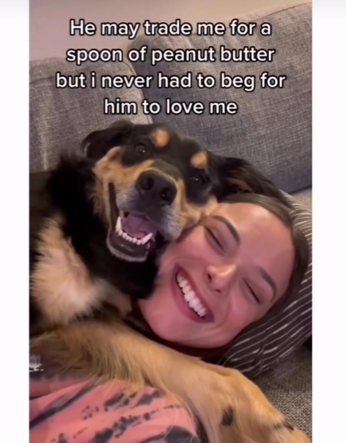 WholesomeMemes (@wholesomememe) on Twitter photo 