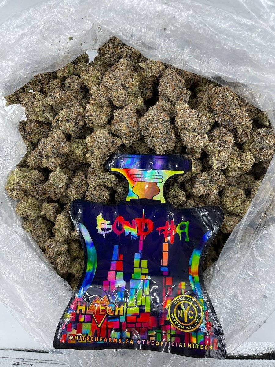 DrDream420's tweet photo. Bondha exotic🔥
#drdream https://t.co/n9VkFYAm67