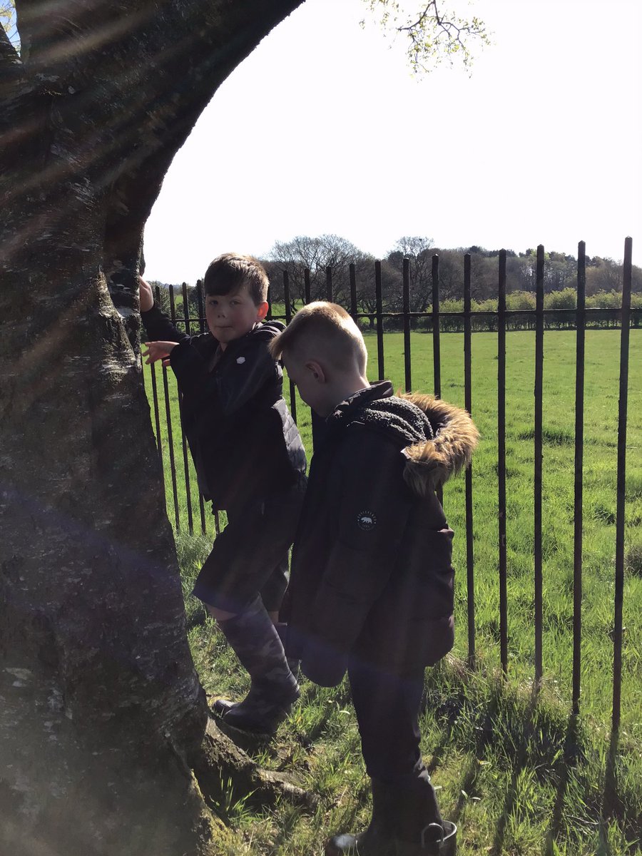 Kahlo class enjoyed their outdoor session as part of the Trees and Us program. We measured trees and learnt more about the carbon in trees. 🌲🌳 <a href="/BlackrodPSch/">Blackrod Primary</a>