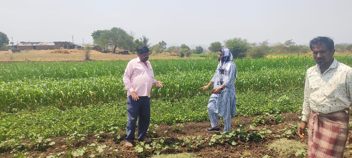 તા-૨૬/૦૪/૨૦૨૩ના રોજ આત્મા પ્રોજેક્ટ,જિ:-છોટાઉદેપુરના ડેપ્યુટી પ્રોજેક્ટ ડાયરેકટર દ્વારા કવાંટ તાલુકાના પીપલદા,સમલવાંટ,ગોજારીયા ગામના પ્રાકૃતિક ખેતી કરતાં ખેડૂતોની ફિલ્ડ વિઝીટ કરવામાં આવી.<a href="/collectorcu/">Collector Chhotaudepur</a> <a href="/DDOCUdepur/">DDO Chhotaudepur</a> <a href="/ATMAGUJARAT/">ATMA</a> <a href="/GujAgriDept/">Gujarat Agriculture, Farmer Welfare & Co-op. Dept.</a> <a href="/DirectorateofA1/">Directorate of Agriculture</a>