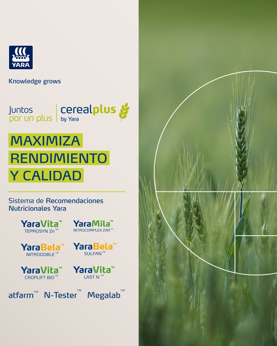 ¿Estás buscando maximizar la eficiencia de tus cultivos de cereales de invierno? ¡Conocé CerealPlus de Yara! 💪🌾

Esta solución combina los requerimientos nutricionales de los cultivos con herramientas digitales para diagnóstico y monitoreo.

#NutriciónDeCereales #campo #agro