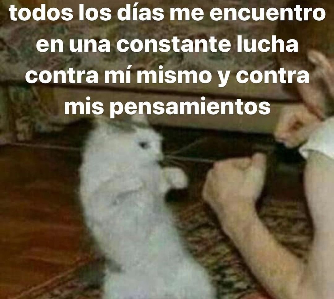 skereunpesado's tweet photo. https://t.co/SG9qTcA7bt