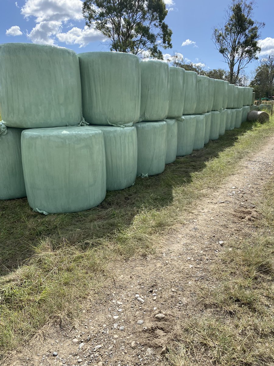 SPCKfarm's tweet photo. Silage last week, winter rye and clover direct drilled this week, predictions of east coast low next week. 🤔 https://t.co/kEEHwWfbKd