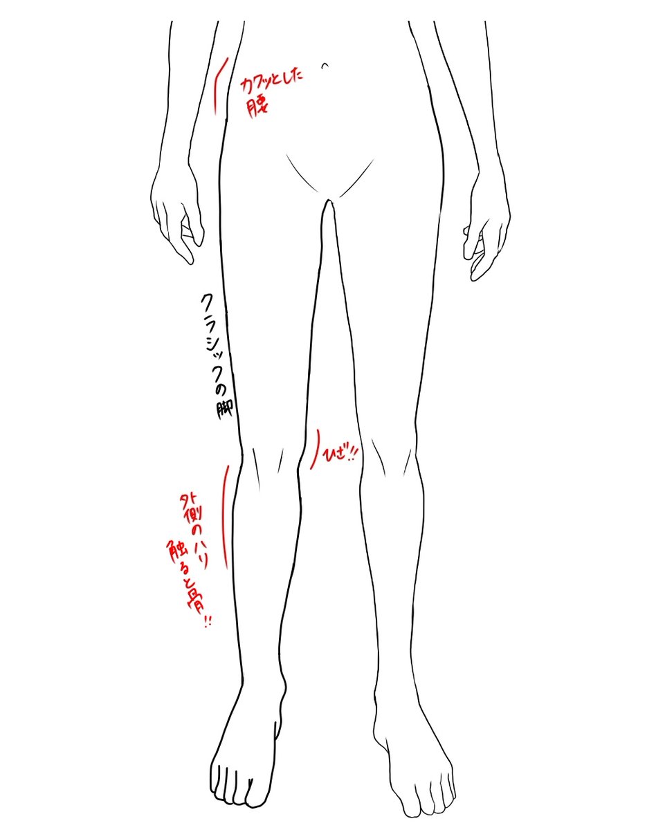 クラシックの脚の特徴かいてみた！！
クラシックと診断された方の脚には共通点があって、膝がしっかりしてる！

#骨格診断 
#骨スト
#骨格ストレート