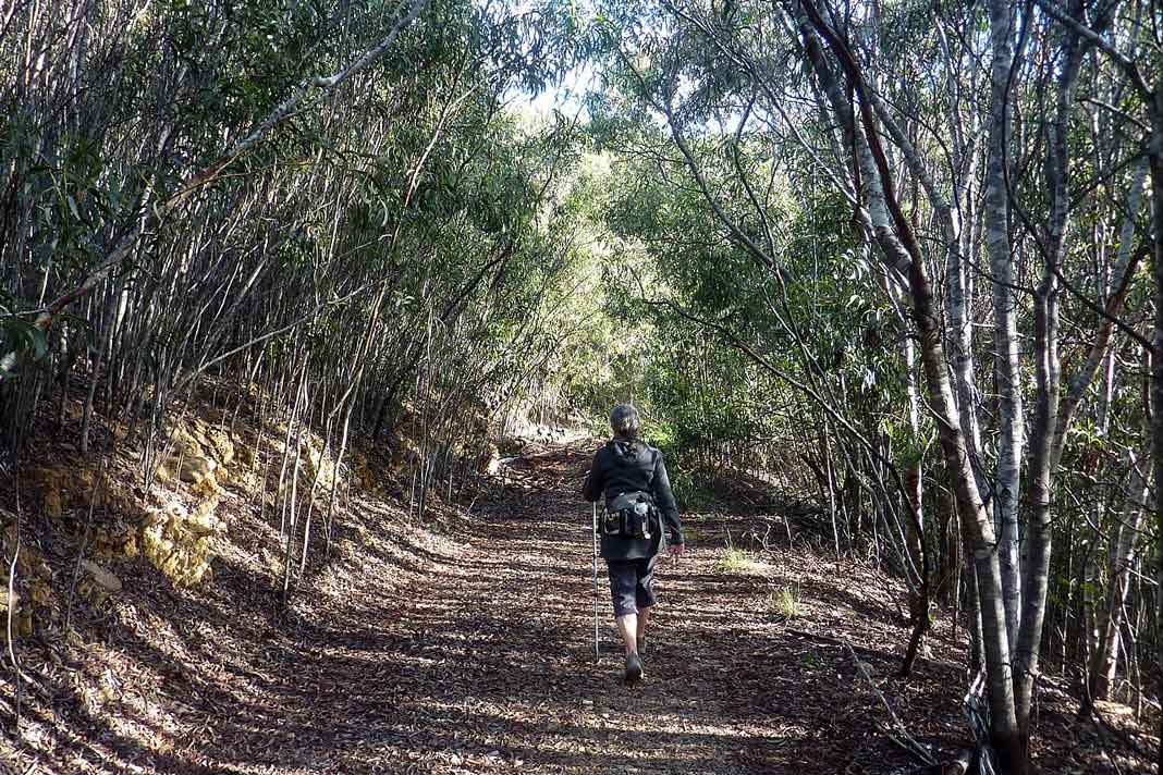 efimedfacility's tweet photo. #Forests provide us with much more than just trees! 

The Mediterranean Forest Research Agenda 2030 calls for new research to address the underestimation of cultural, health, &amp; hydrogeological #EcosystemServices!

Read about it in the #MFRA2030 👉 https://t.co/a2yaOutwQK https://t.co/6Z9jvrgL4I