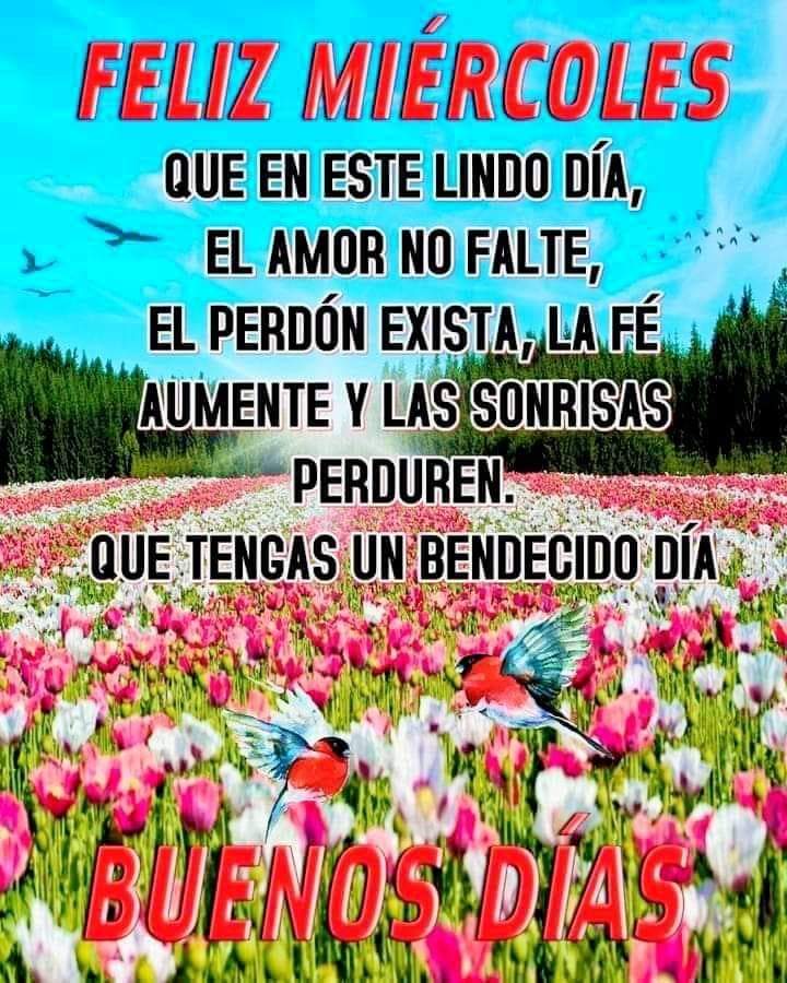 Margarita Isabel (@margari_isabel) on Twitter photo 