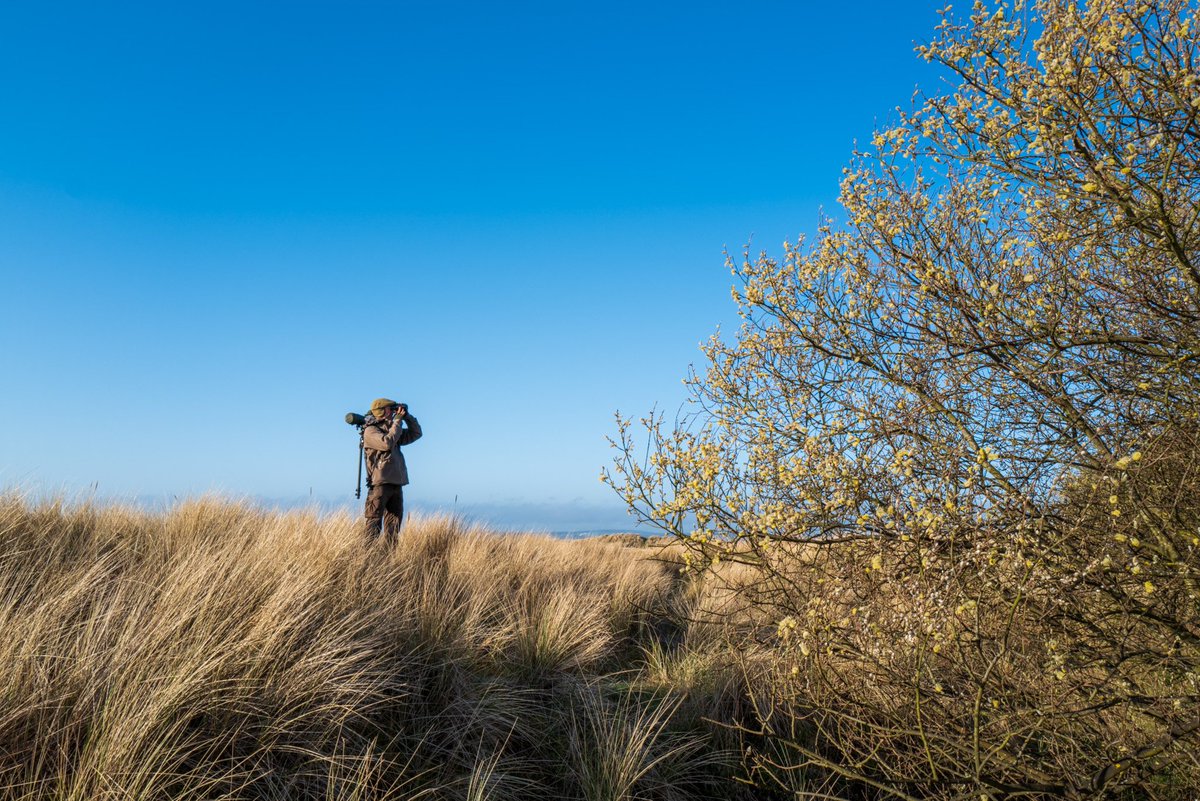 appliedecology's tweet photo. Thinking back to this time last week, when a few early risers in the team headed out to Lindisfarne during our company away week. Both Cambridge and Glasgow offices are right back into the thick of it this week, with the survey season well underway.  #ecology https://t.co/TiBFFIIMhZ