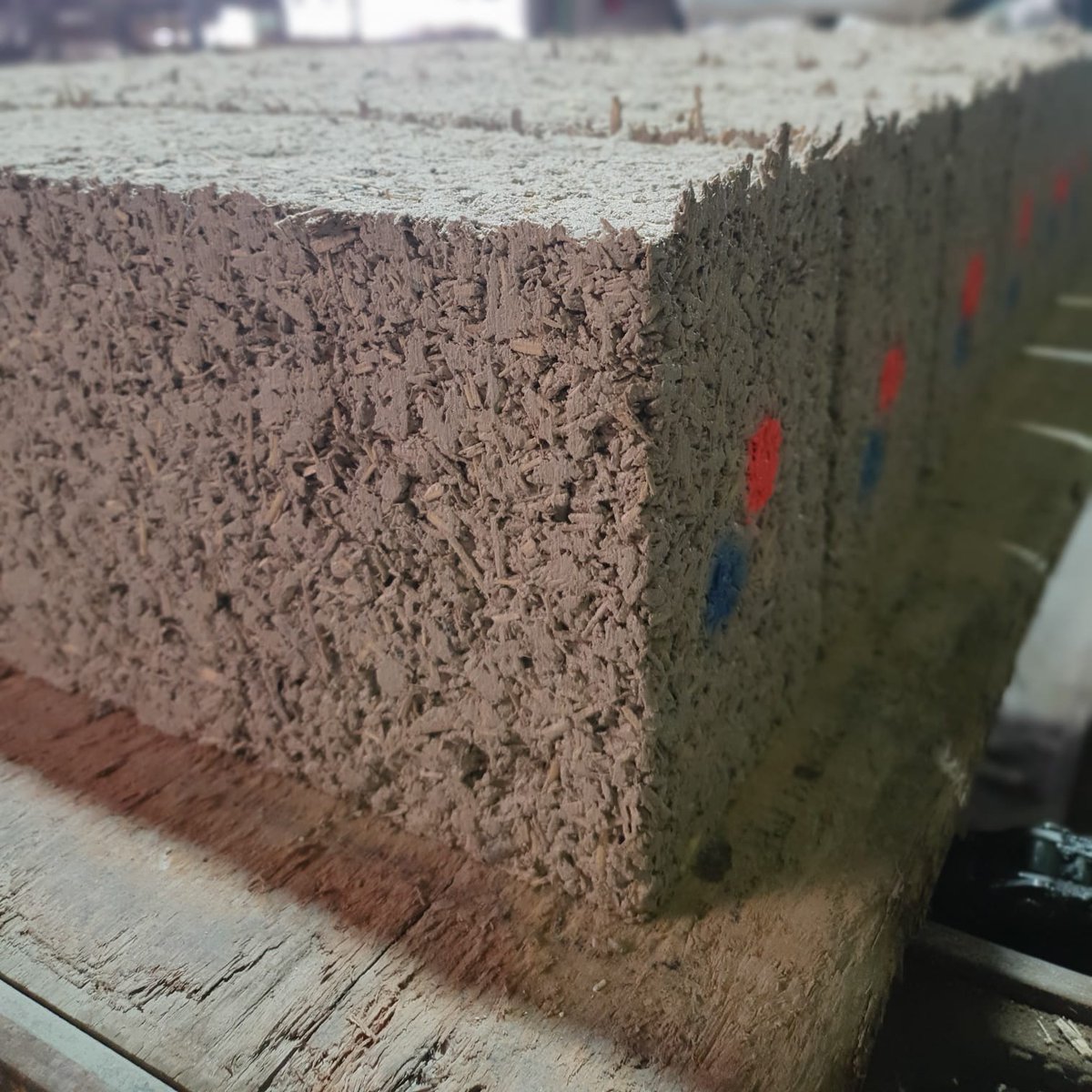 IkhalaImpact's tweet photo. Our co-founder @wihan_bekker visited the Afrimat Hemp production facility yesterday and we're extremely excited to be on this journey. Together we're building a hemp protocol to support the hemp supply chain and green buildings in SA &amp; Africa! 🌱🌍
#hemp #carbonremoval #ikhala https://t.co/q2GgSP3jY8