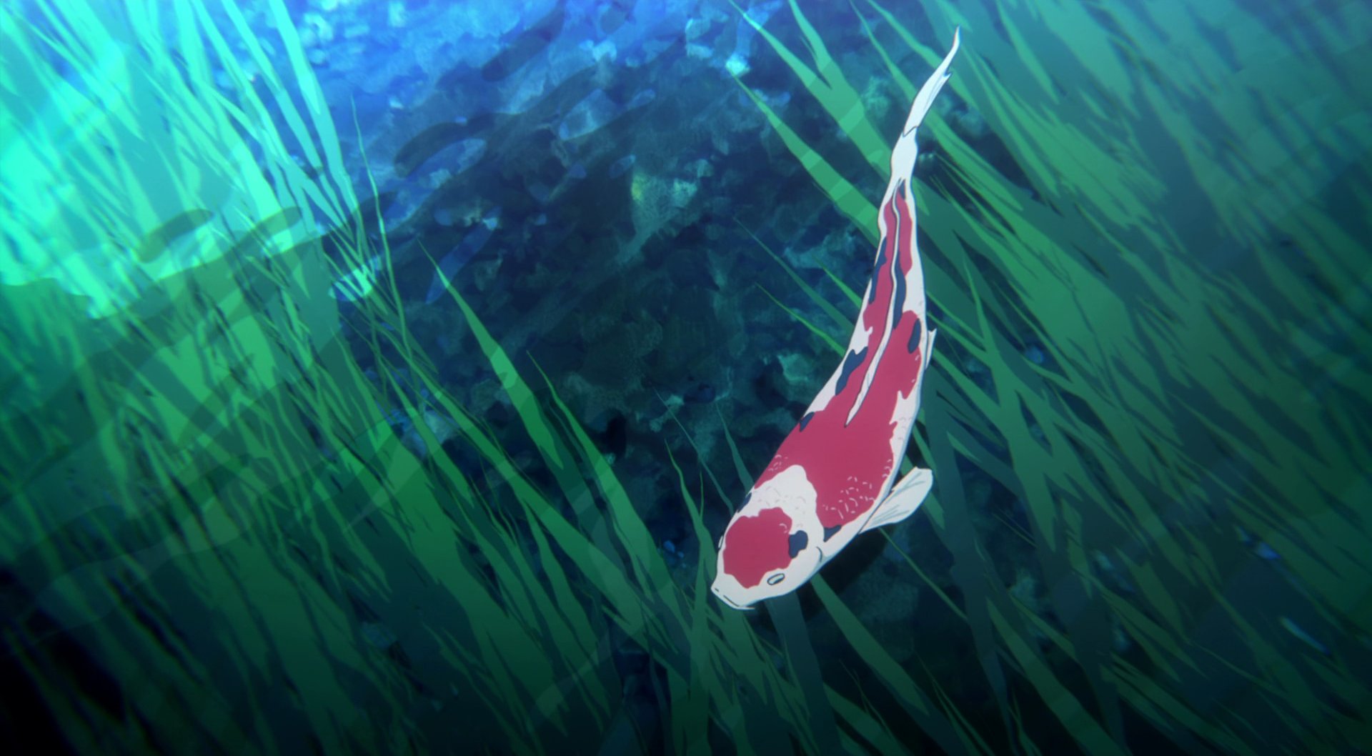 Koi gif anime