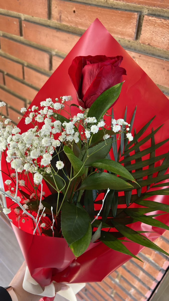 Judithh_12's tweet photo. En Valencia también fué Sant Jordi🫶🏻🌹 https://t.co/lXMR3n23nY