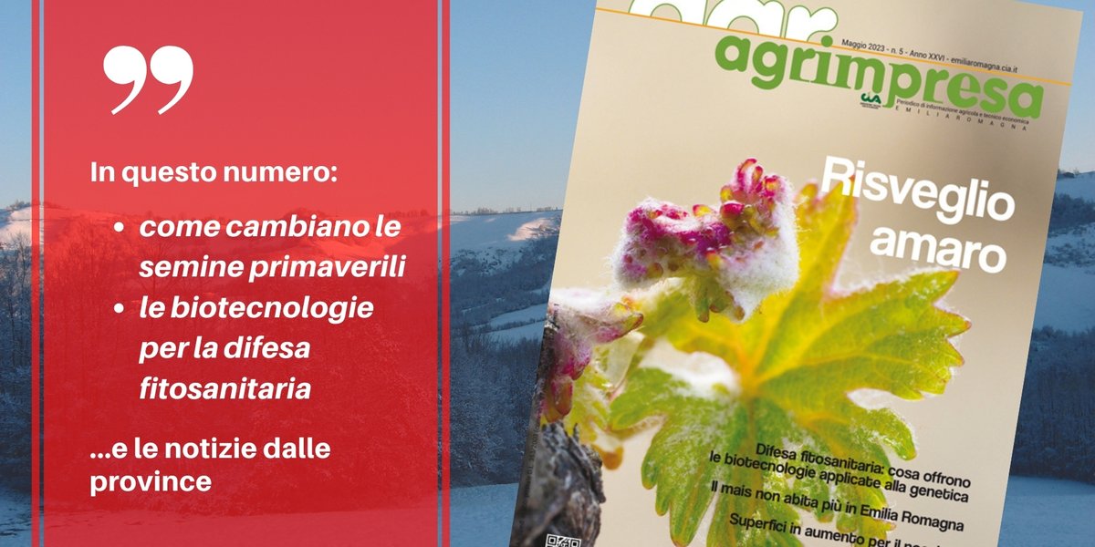 È online il numero di #agrimpresa di maggio: le semine primaverili davanti alla sfida del #cambiamentoclimatico, biotecnologie e cis-genetica per la difesa fitosanitaria, le notizie dal territorio e dal mondo Cia. Buona lettura al link bit.ly/agrimpresamagg…
