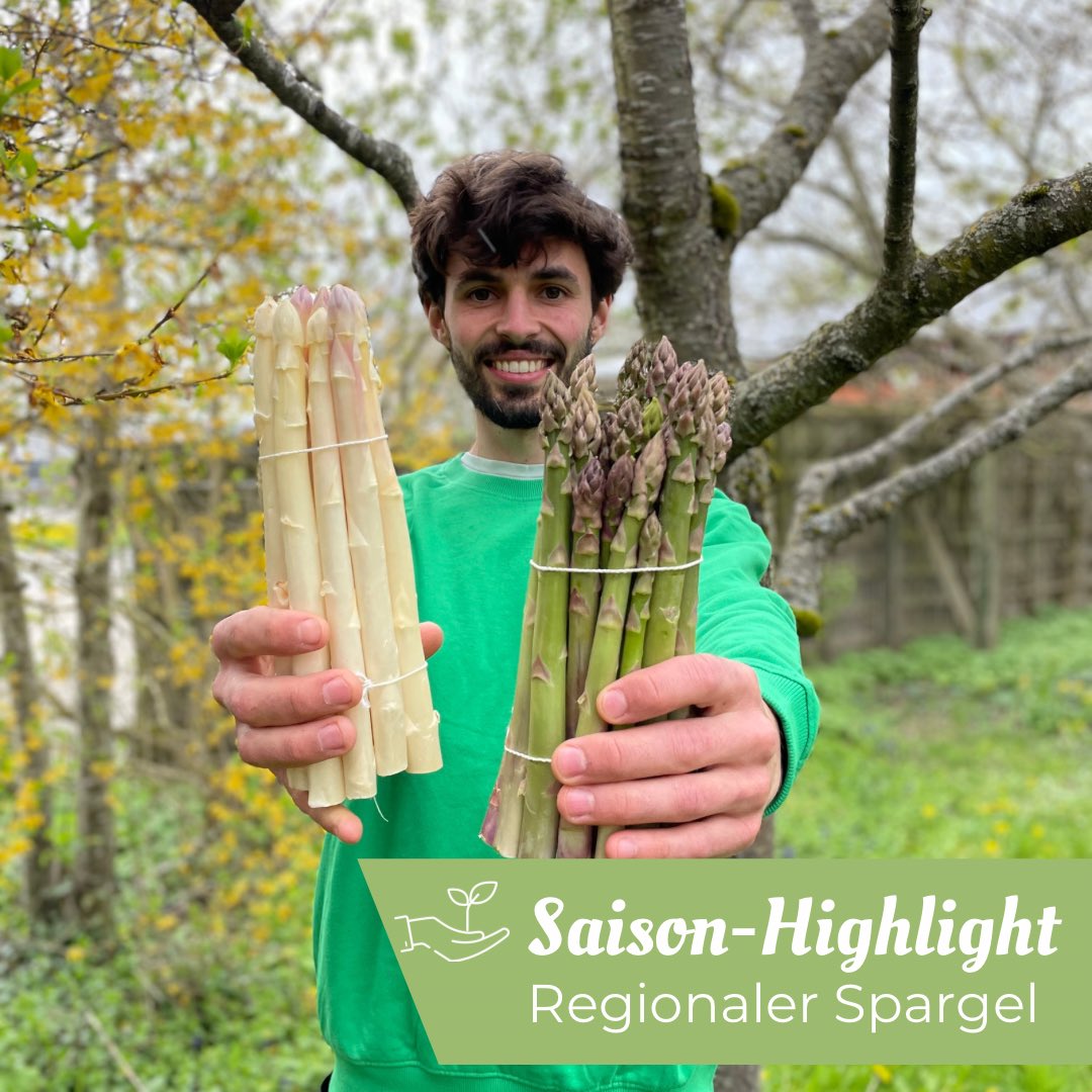 Oekokiste_K's tweet photo. Die Spargel-Saison mit #Bioland -Spargel aus Niederbayern hat begonnen! 🤍💚 Du kannst ihn individuell in deine #Ökokiste bestellen 🥰… Wir wünschen einen guten Appetit!

#Biospargel #organicfood #biolebensmittel #biokiste #freising #münchen https://t.co/Ne6pLRrLD3