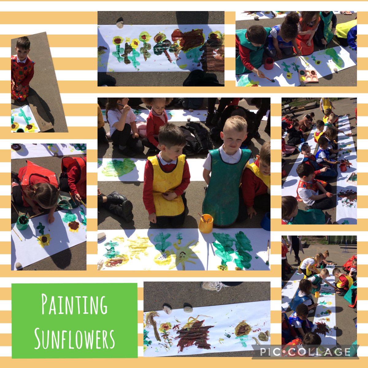 Painting Sunflowers in the Sunshine. <a href="/redscopeschool/">Redscope School</a>
